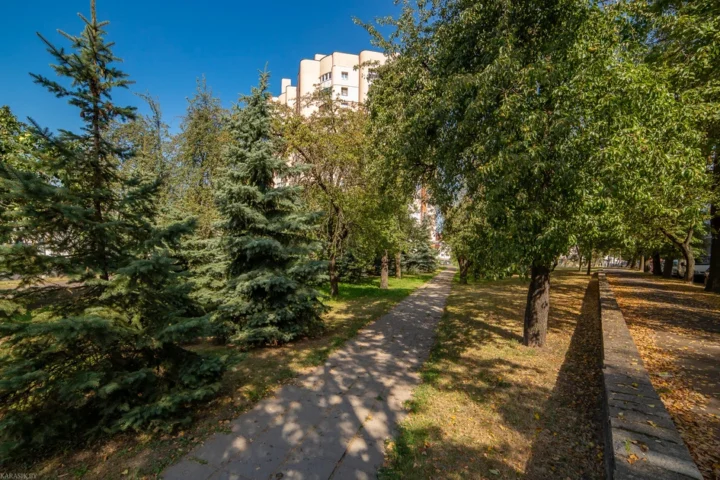 Интерьер квартиры-студии по адресу: Минск, ул. Амураторская, 2